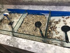 -火锅岛潮牌自助餐厅(天津天佑城店)