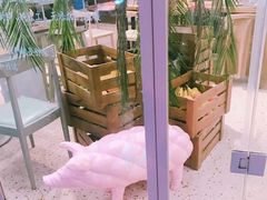 -WHEN PIGS FLY当猪飞