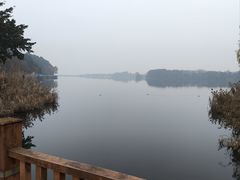 -美食村花园餐厅