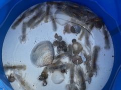 -东戴河风景区-止锚湾