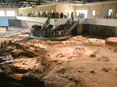 -自贡恐龙博物馆