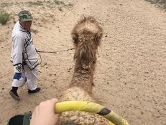 -水洞沟旅游区