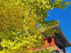 -潭柘寺景区