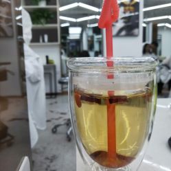 -蚂蚁造型沙龙
