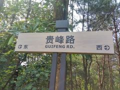 -神光山国家森林公园