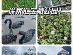 -徐家汇公园