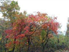 -丹东天桥沟景区