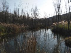 -西湖风景区-江洋畈生态公园
