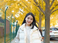 -三里屯东五街银杏大道