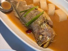 荣小馆大陈岛黄鱼烧年糕-荣小馆(安达仕店)