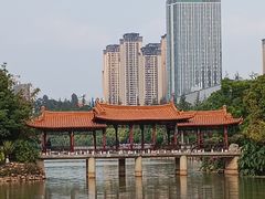 -洛龙公园