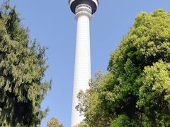 -龟山风景区-龟山电视塔