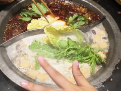 -宽板凳老灶火锅(南礼士路店)
