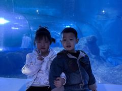 -长春中泰海洋世界