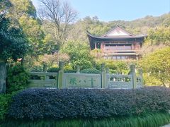 -十八棵（老龙井）御茶园(老龙井店)