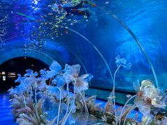 -海合安青岛极地海洋公园