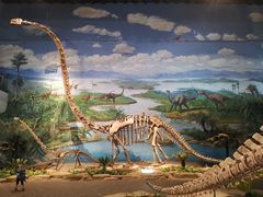 -自贡恐龙博物馆