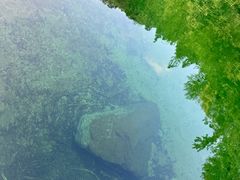 -石台牯牛降景区