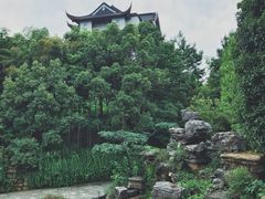 -龙天小镇
