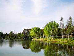 -贡湖湾湿地公园