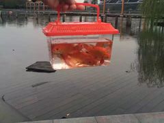 -白塘生态植物园