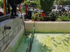 -钰田大院·碳烤虹鳟鱼·怀柔地道农家菜(雁栖湖店)