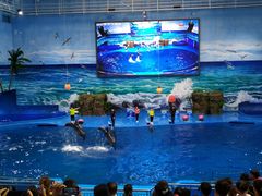 -多彩贵州城极地海洋世界