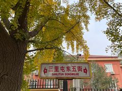 -三里屯东五街银杏大道
