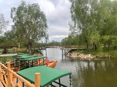 -白渔泡湿地公园