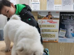 -爱佳宠物中心医院24H·CT·骨外科·猫专科(瑶海万达店)