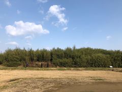 -良渚古城遗址公园
