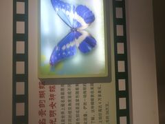 -上海昆虫博物馆