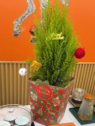 -美肤盾祛痘·问题肌头疗管理中心