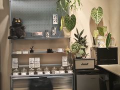 -Dogi&kiki Coffee(中心商务大厦店)