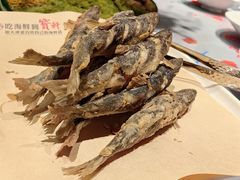 -宝轩渔府·老字号海鲜·正宗津菜(水上店)