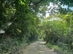 -海南热带雨林国家公园吊罗山景区