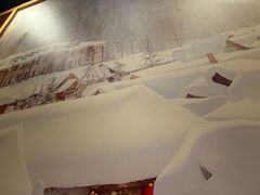 -關東雪东北菜(中庚漫游城店)