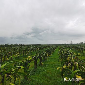 地址:在珠海大桥下去右拐倒回来到桥边再左拐一直往前开