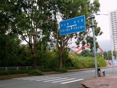 -深圳大学城（南区）体育中心-游泳馆