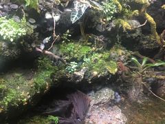 -新加坡海洋生态馆