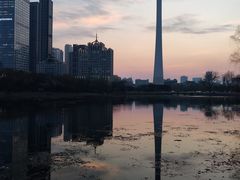 -辽宁电视塔