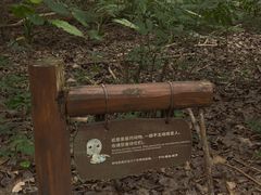 -华侨城湿地公园