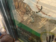 -昆明动物园