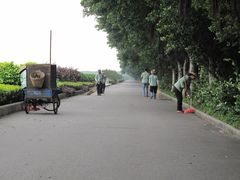 -大湾区中央湿地公园