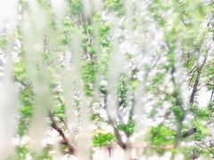 -星海音乐学院(沙河校区)