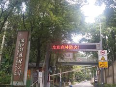 -铁山坪森林公园