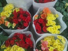 -无锡文化工艺品市场(槐古路店)
