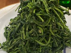清香枸杞苗-国强手抓(北京西路店)