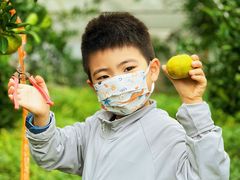 -前小桔亲子创意农场·草莓采摘·露营烧烤