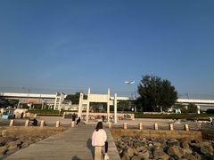 -宝安西湾红树林湿地公园